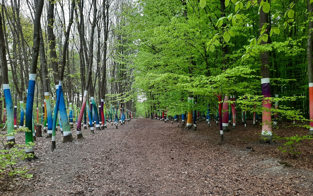 La Forêt sacrée