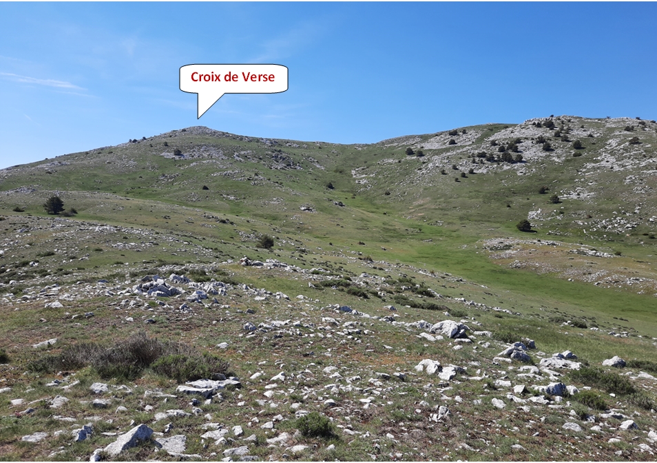 Entre la balise 410 et la Croix de Verse, le sentier n'est pas toujours visible mais on sait où il faut monter