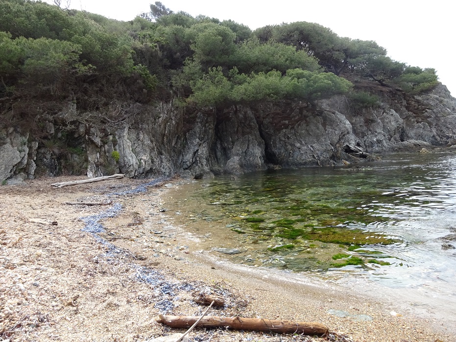 Calanque du Brégançonnet