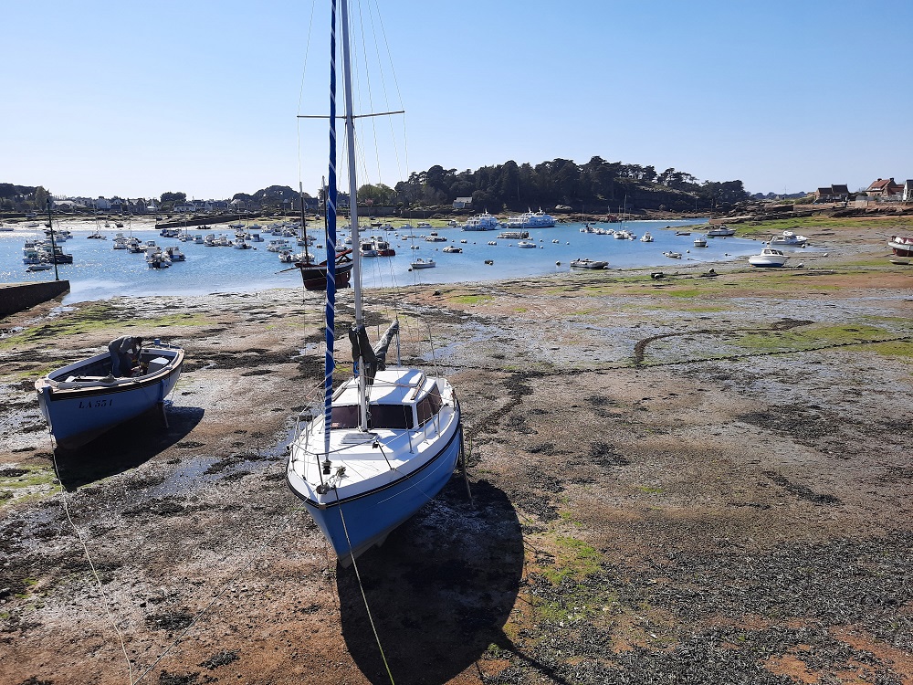 Le port de Ploumanac'h à marée basse