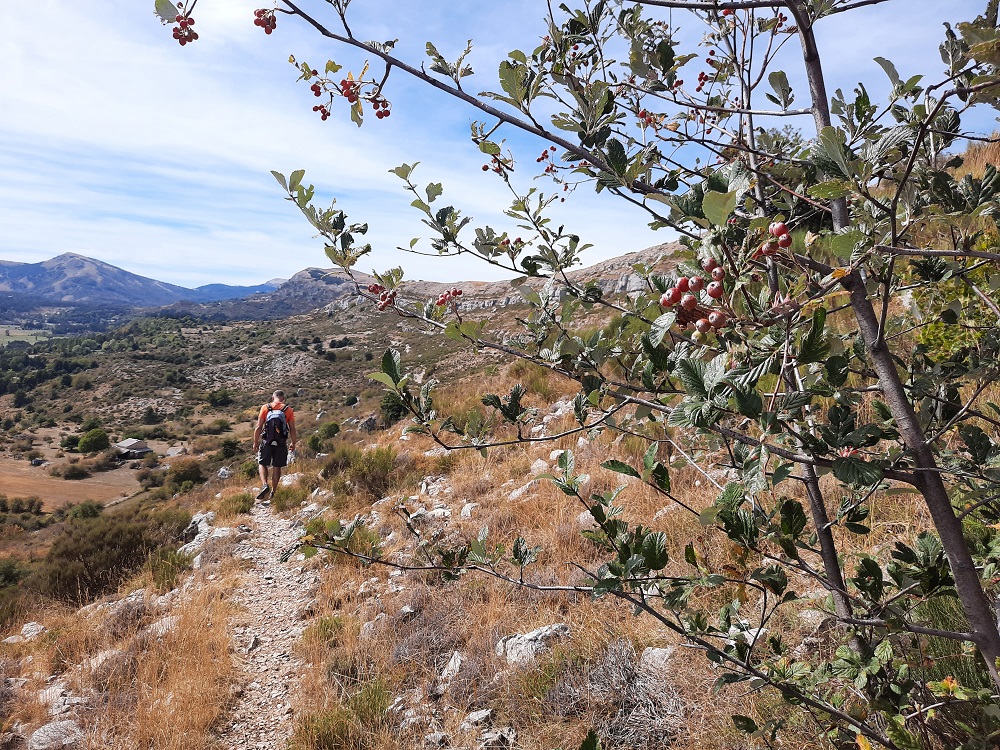 Descente du plateau
