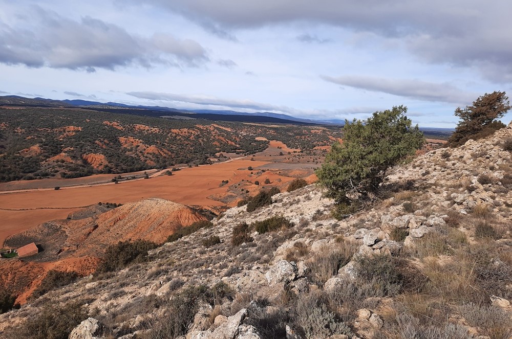 En contrebas, les champs de terre rouge