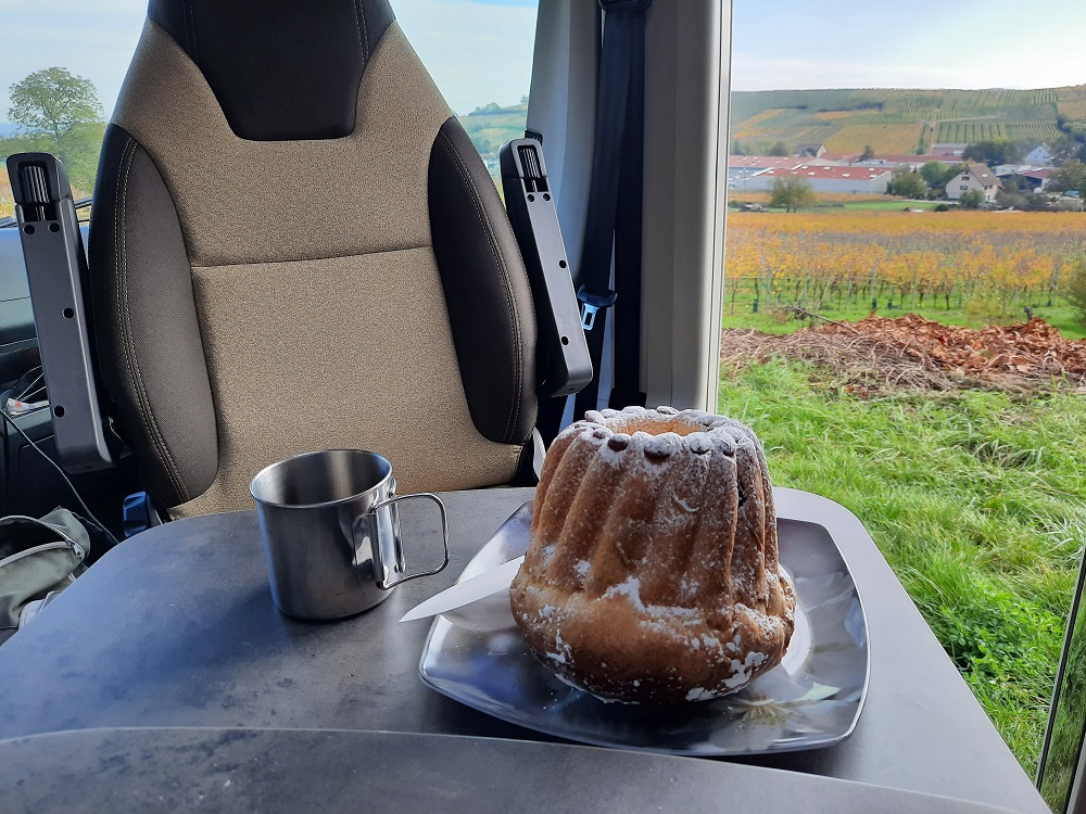 Le kouglof du jour avec vue sur les vignes 😊