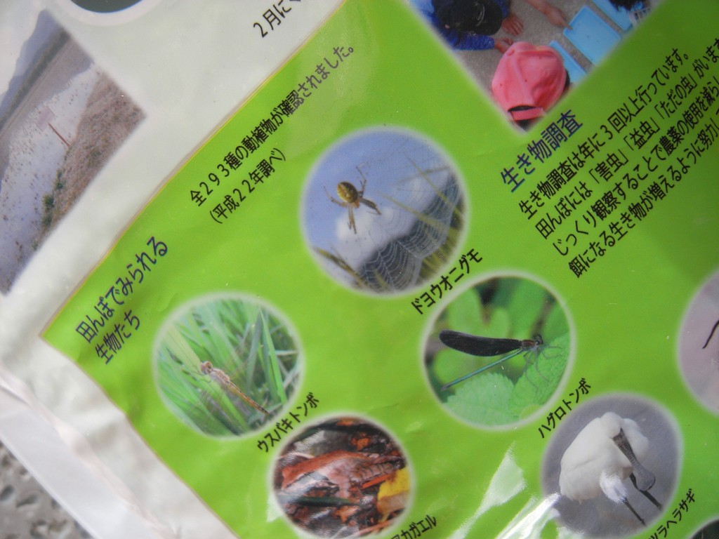 多くの昆虫や鳥が生きていける田んぼがもっと必要なんだな
