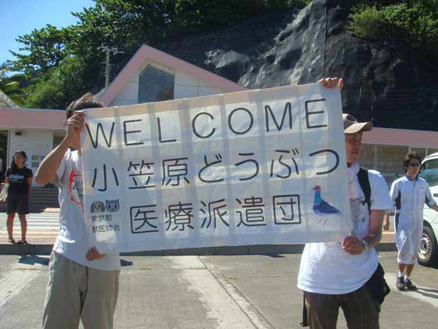 わたしたち人も