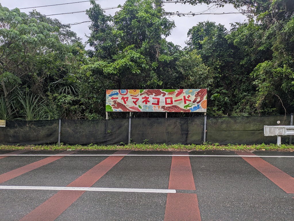 減速帯の側には、子供たちが書いたイラストの横断幕。