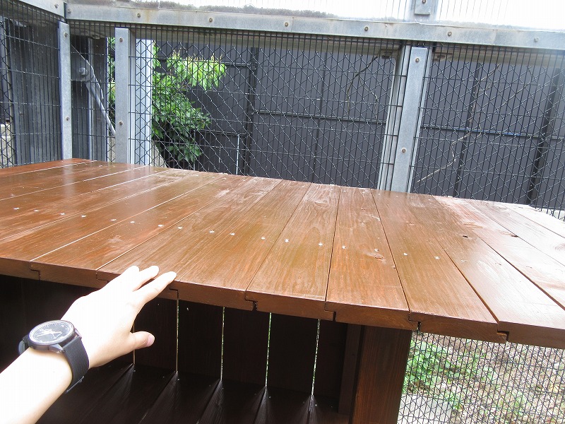 雨漏りしないよう屋根板が組まれています。私たち素人には到底できない技術です。