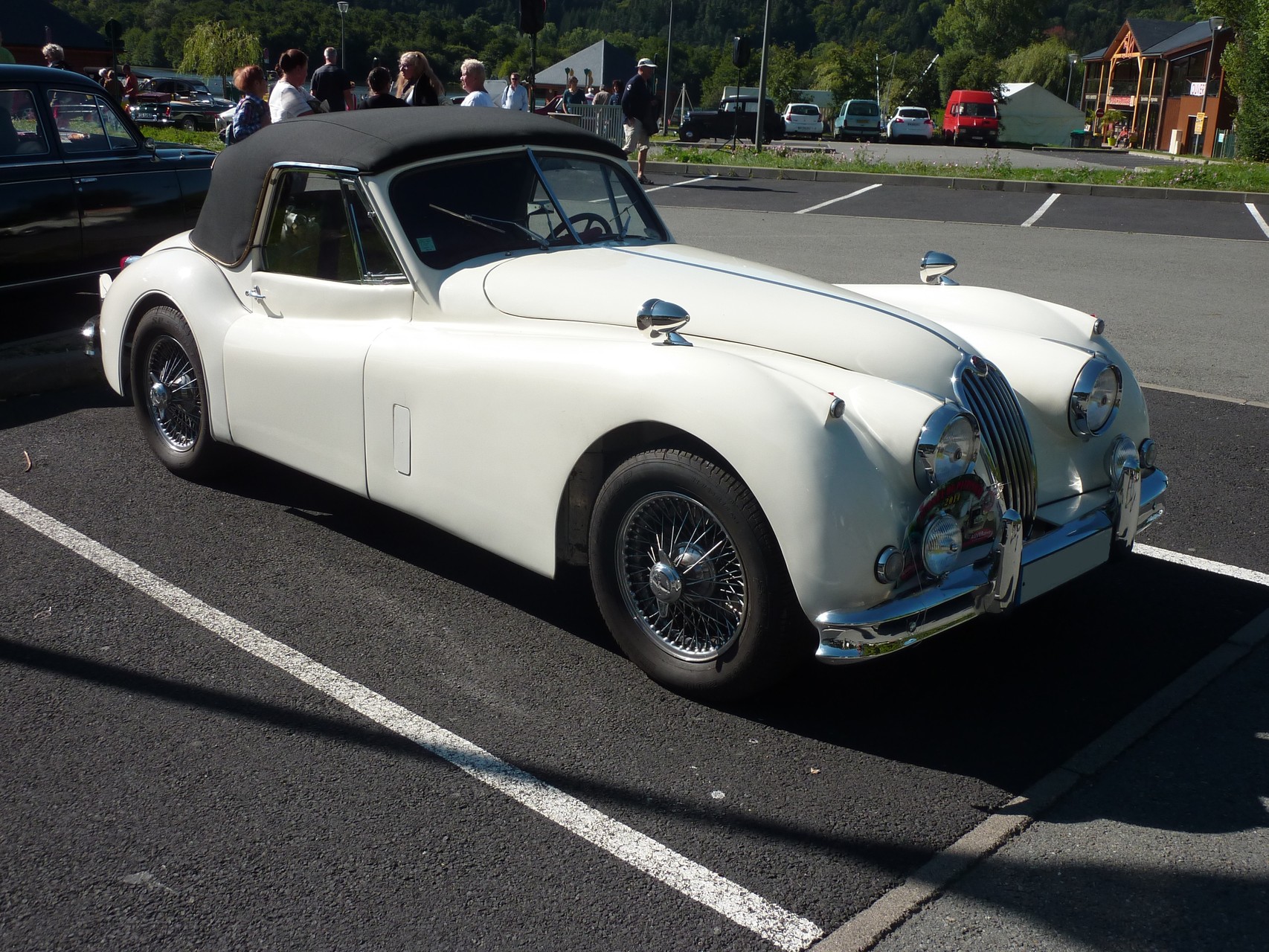 JAGUAR XK 1950