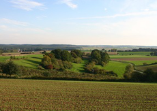 Der "Froschgrund" bei Neuhaus (Fotos: Schmalz)