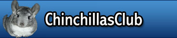 Chinchillas Club