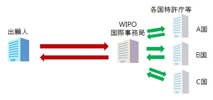 マドプロの国際登録した場合の権利管理の際の手続きの流れ