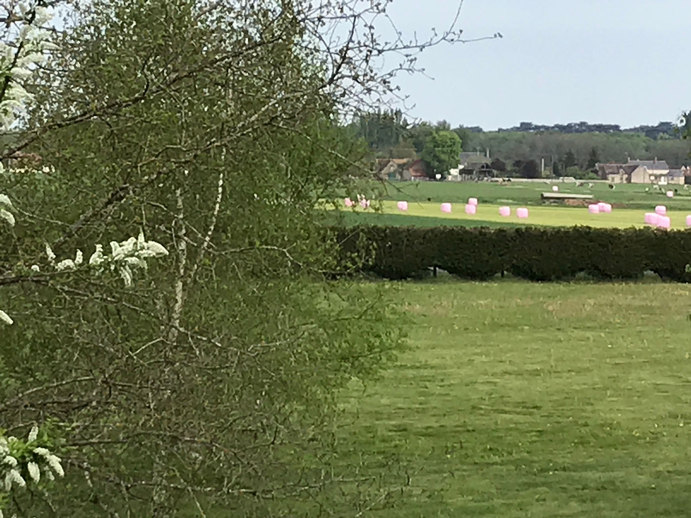 Vue sur la campagne