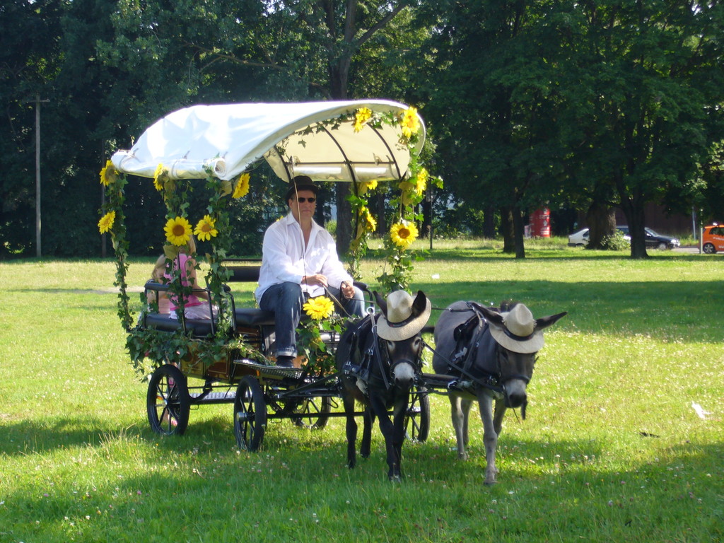 Kutschfahrten mit Esel Eselgarten in Augsburg Kutschfahrten mit Esel Eselgarten in Augsburg