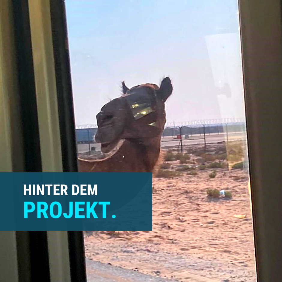 Vor vier Jahren habe ich ein Foto aus Saudi-Arabien gepostet.