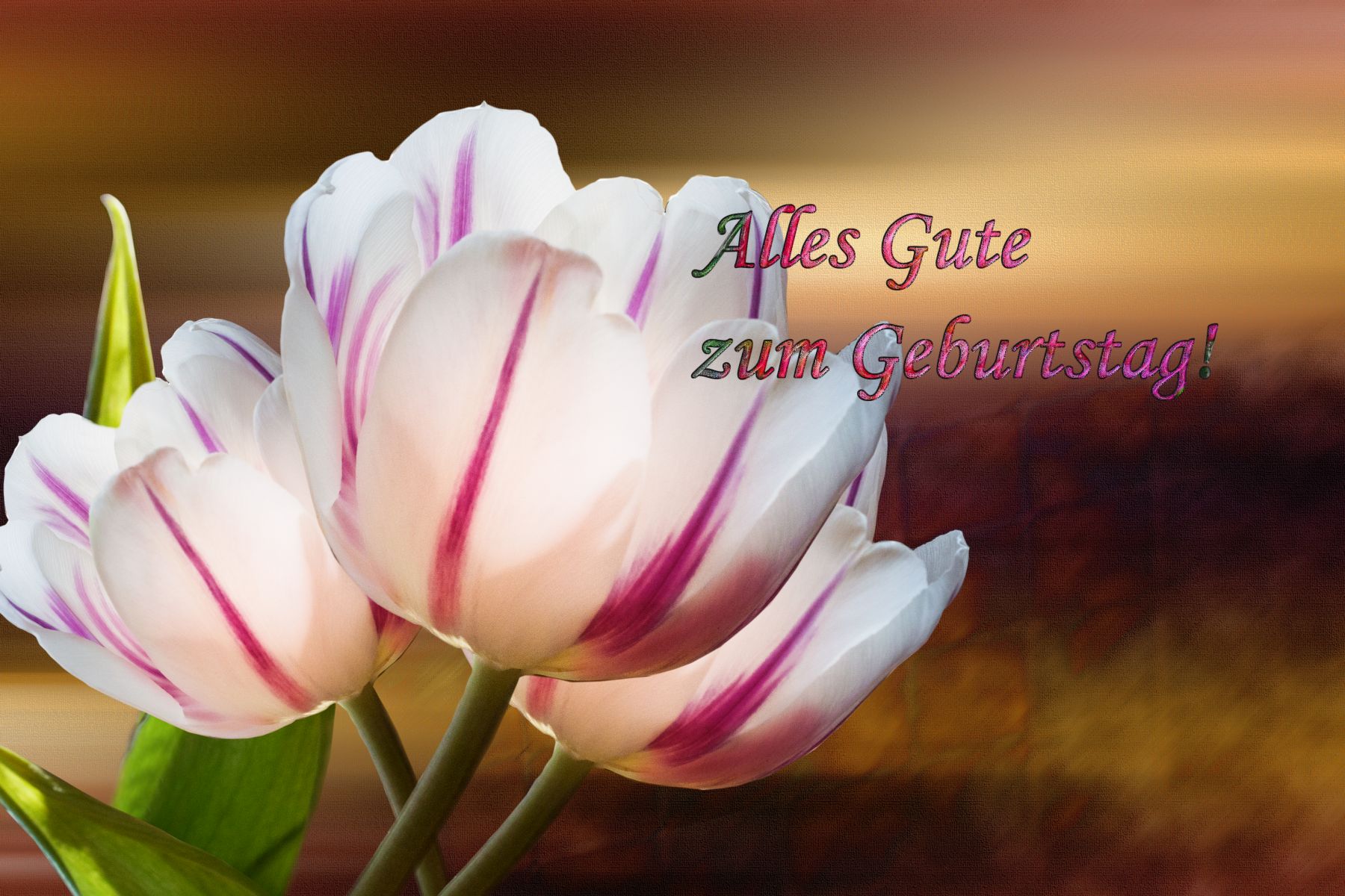 Grußkarten Geburtstag Blumen Grußkarten Geburtstag Blumen