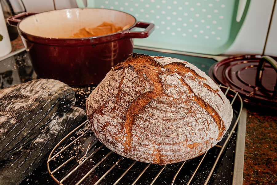 Roggen-Mischbrot mit Molke ♥ Molkebrot