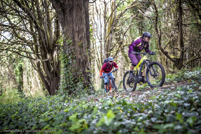 Zum Tag des Waldes: Miteinander statt Gegeneinander