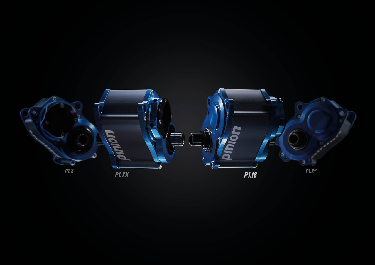 fahrrad mit pinion getriebe