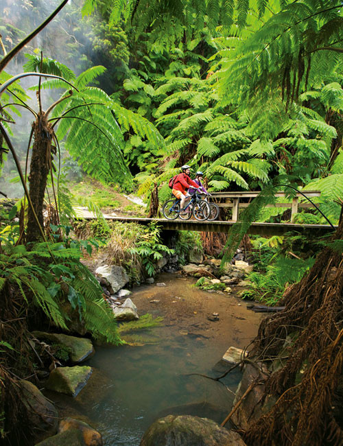Mountainbiking in den Subtropen © Pressebüro Grönemeier