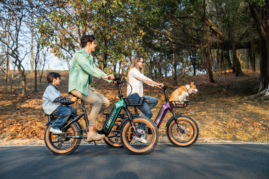 LANKELEISI GOLF-X: Ein vielseitiges E-Bike für Alltag, Freizeit und längere Touren