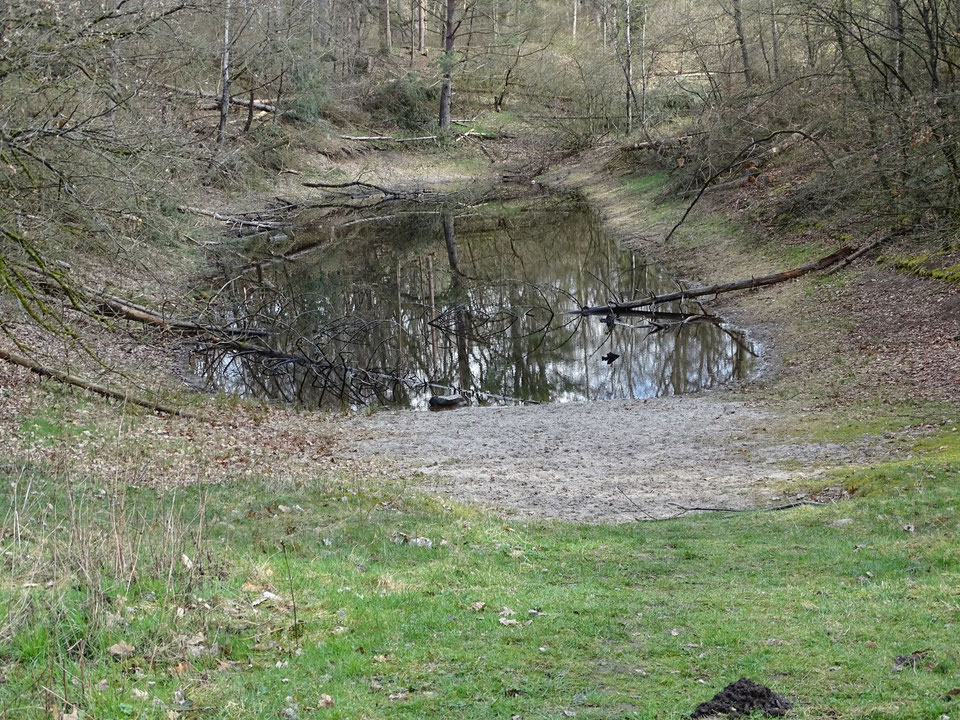 Wasserknappheit im Raum Burgdorfer Holz