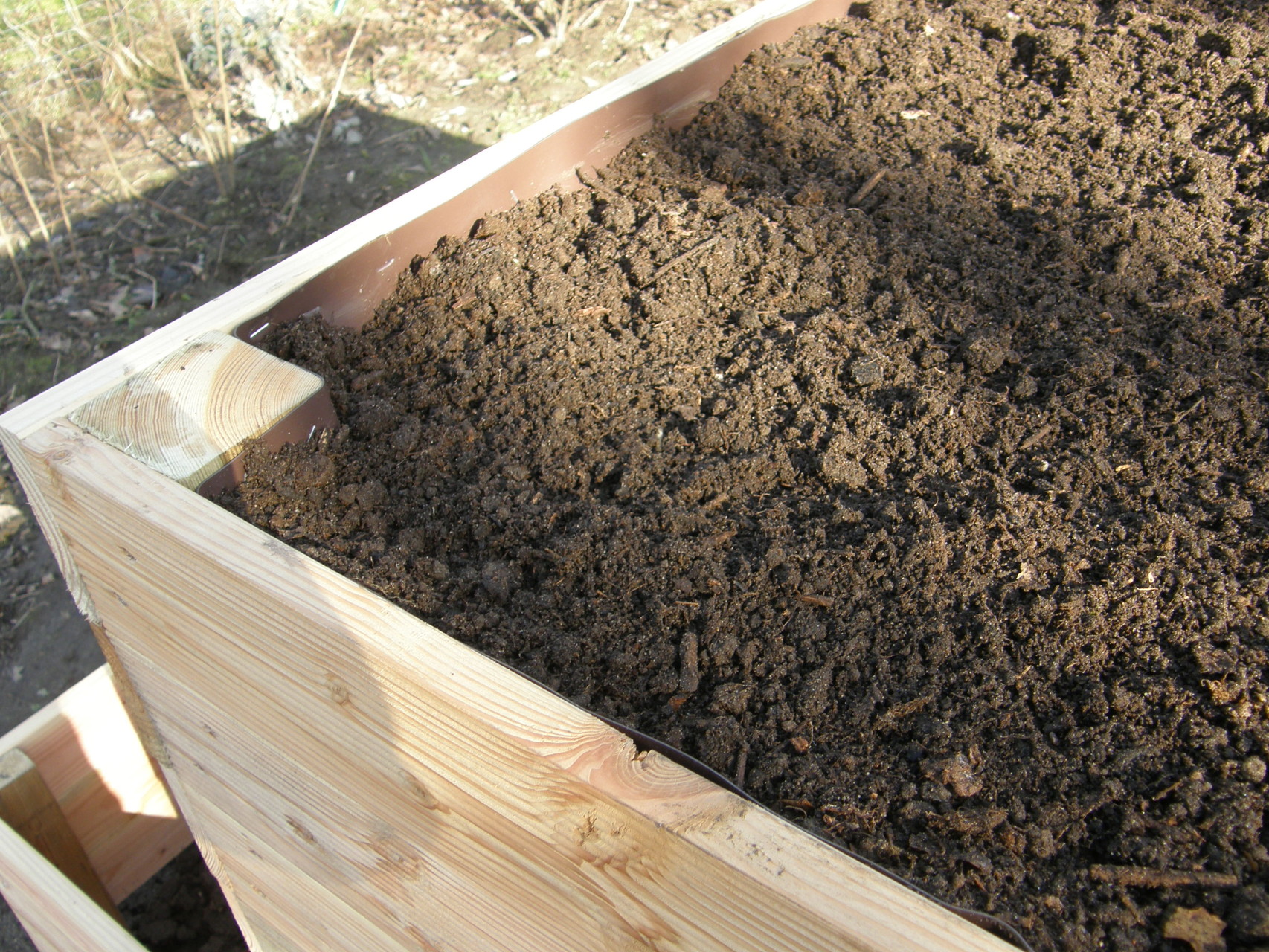 24. Als Pflanzschicht Gartenerde gemischt mit reifem Konpost bis zum Rand einfüllen