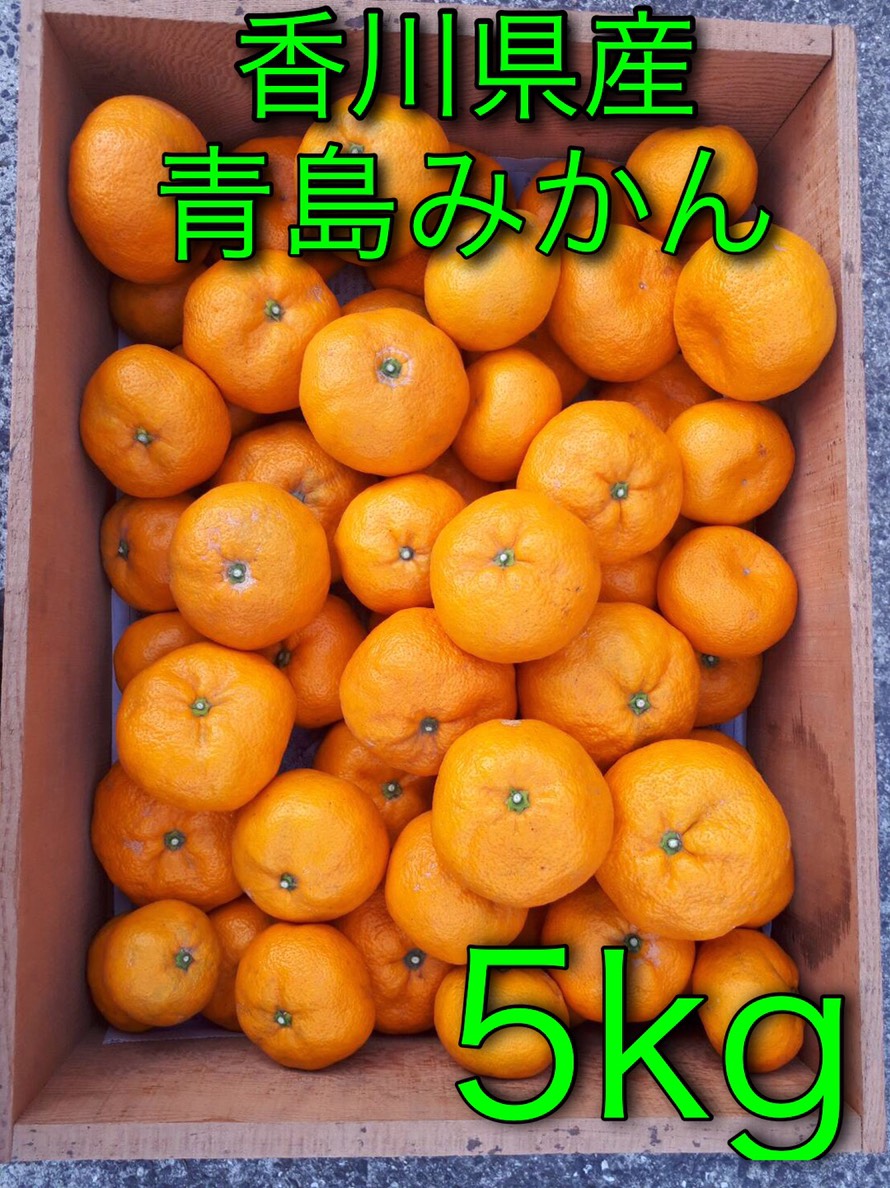 今岡みかん（鬼無） - imaokamikan ページ！