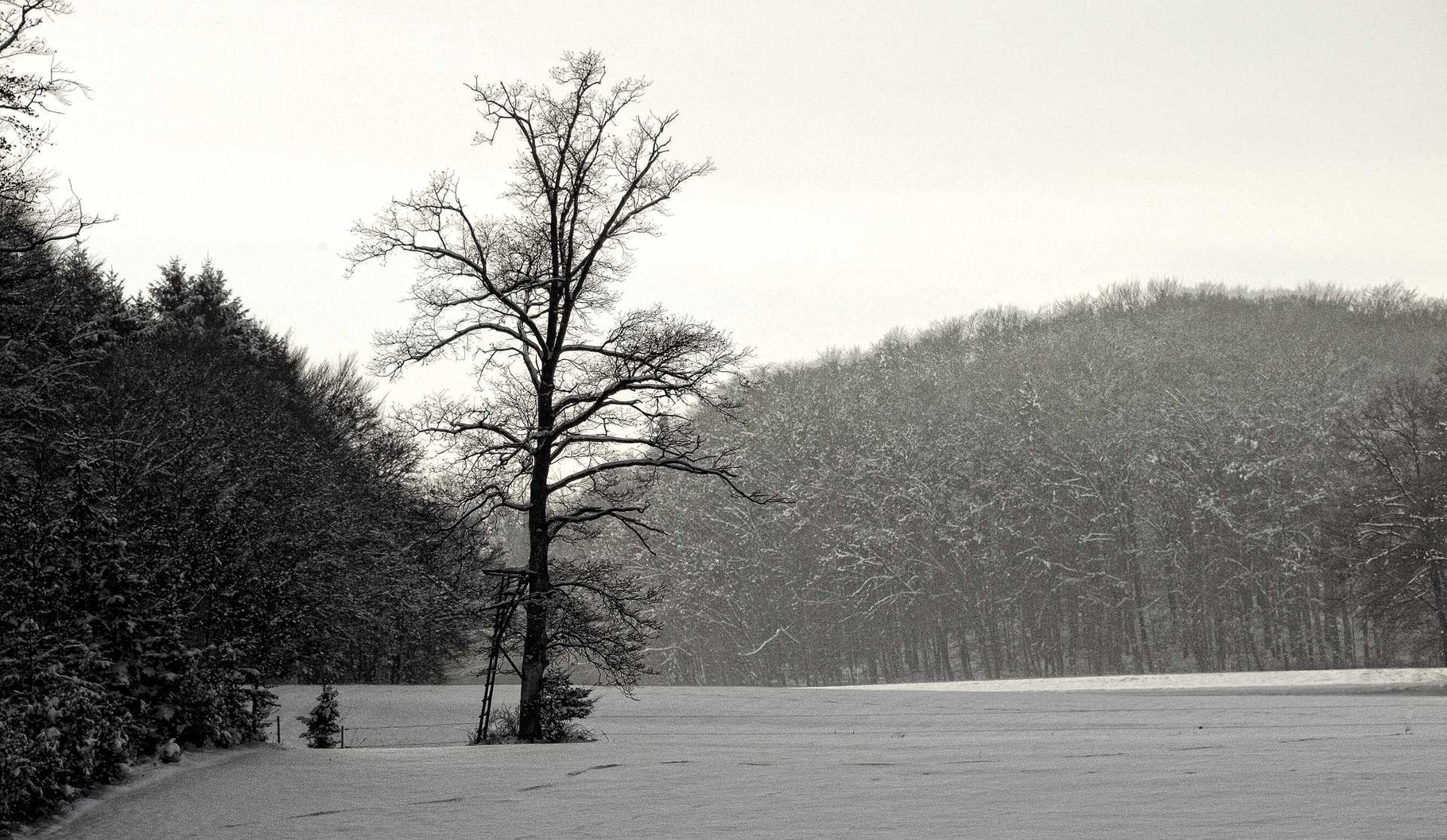 Jänner:  Winterstimmung in Eggelsberg