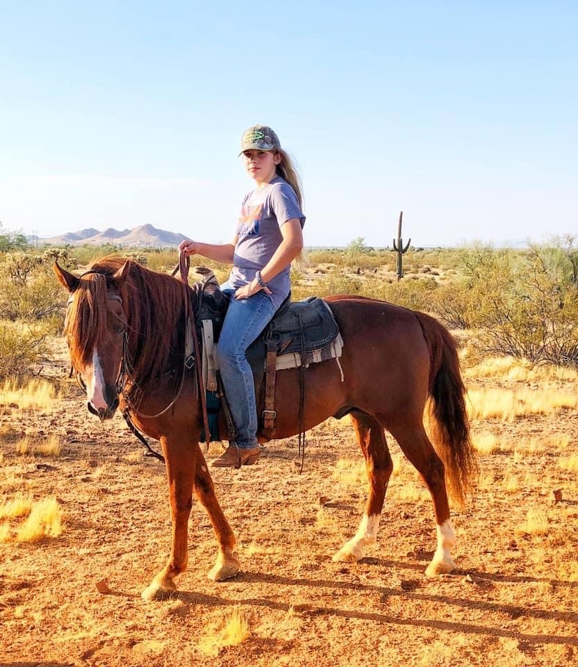 Foundation Horse Breeding Stallions