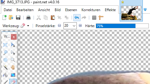 Motive Freistellen Mit Paint Net Brennis Reisewelt