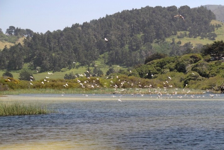 The Carmel River Lagoon and Wetlands Natural Preserve