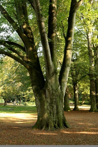 Maastrich, Stadspark