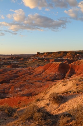 Petrified Forest - Painted Desert, Lacey Point Overlook