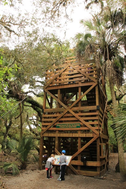 Myakka River State Park