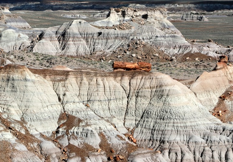 Petrified Forest - Painted Desert, The Changing World