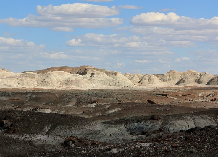 Petrified Forest - Painted Desert, The Crystal Forest