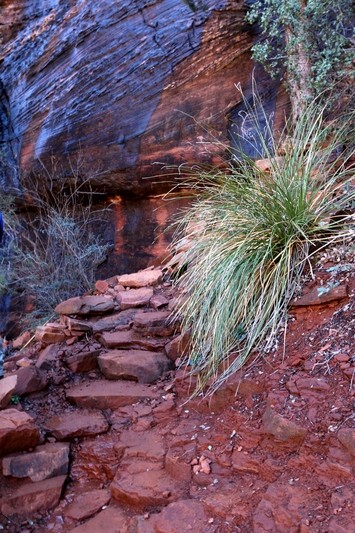 Sedona - Devils Bridge Trail