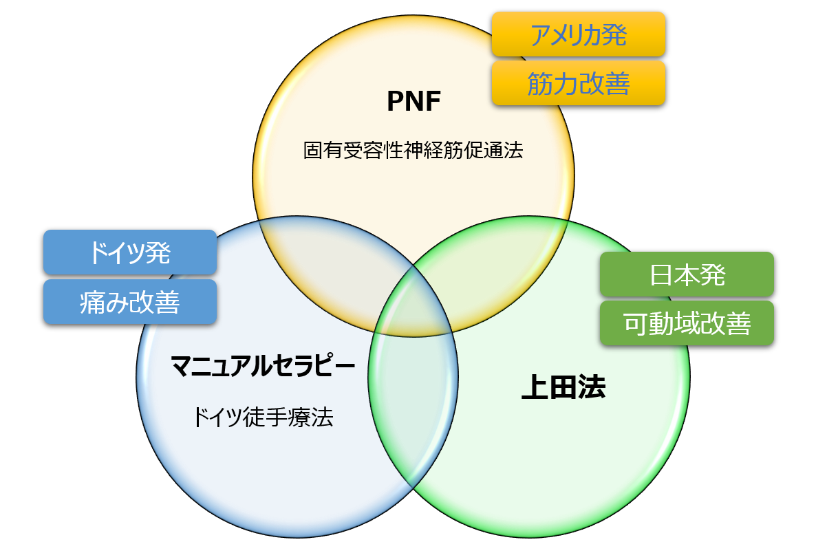 神経筋促通手技 パターンとテクニック PNFとは | PNFリハビリセンター