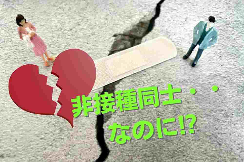 婚活にみる非接種同士の「憂鬱」