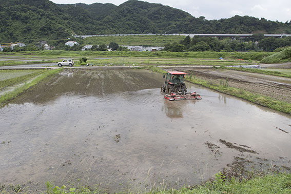 犬塚さんによると、代かきは状況が許す限り「荒代かき」と「本代かき」の２回に分けて行うそう。１回目は粗く、そこから時間を置いて２回目で「トロトロ」の土にしていく。「いっきにやると雑になってしまうことがある」とのこと。