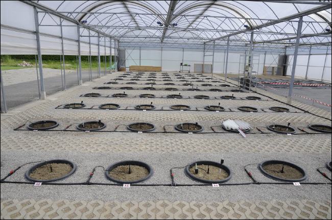 Syngenta Crop Science Testanlage