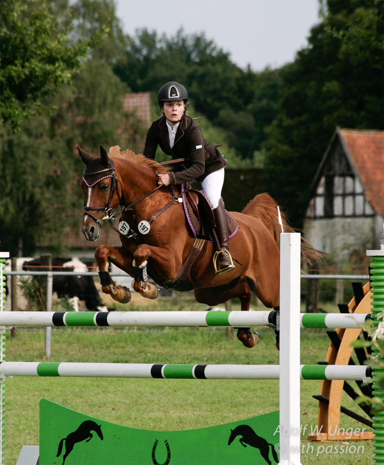 Springreiten Hasbergen