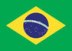 XXº Grande Premio do Brasil de 1991