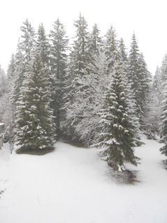 Blick aus dem Fenster in Prémanon