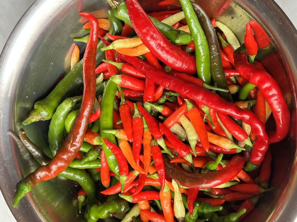 Höllische Salsa – fermentierte Chilipaste selber machen