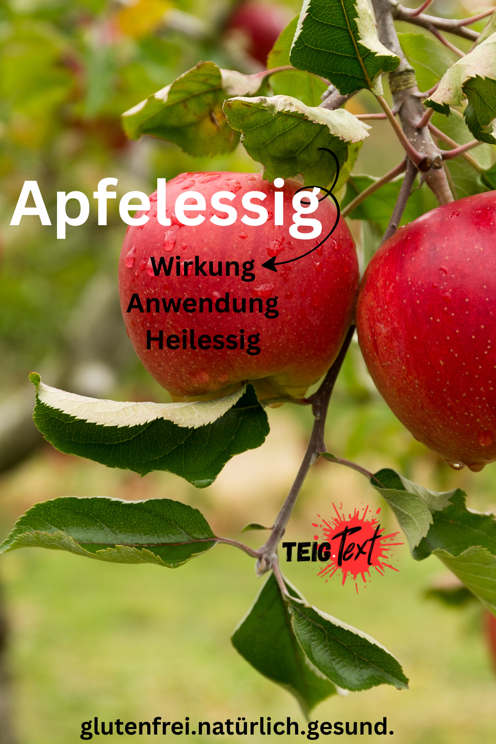 Apfelessig – altbewährt, neu entdeckt: Was er wirklich kann und warum alle davon reden