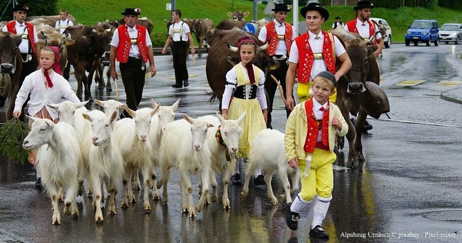 Alpabzug Schweiz, Alpabzüge Schweiz, Alpabzüge Appenzell, Alpabzüge Berner Oberland, Wallis, Tessin, Zentralschweiz, Alpabtrieb, Alpabtriebe, Ziegenabtriebe, Geissenabzüge, Schafscheid Schweiz, Viehabtrieb Schweiz, Almabtrieb Schweiz, Alpabtrieb Schweiz