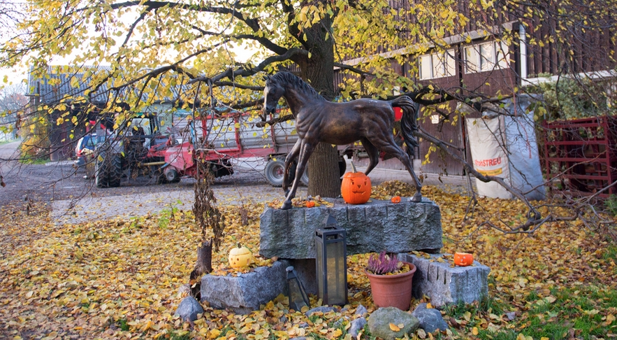 Storchenhof Balgach-Kriessern - (c) Storchenhof
