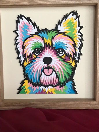 Yorkshire Terrier BUNT 
