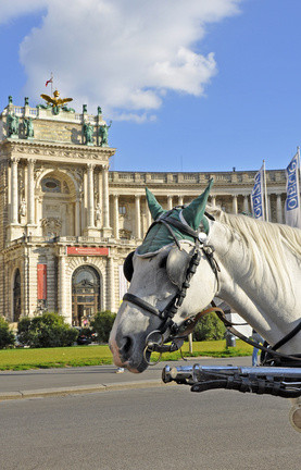 Fiaker (horse carriage) infront of Hofburg, the Imperial Palace